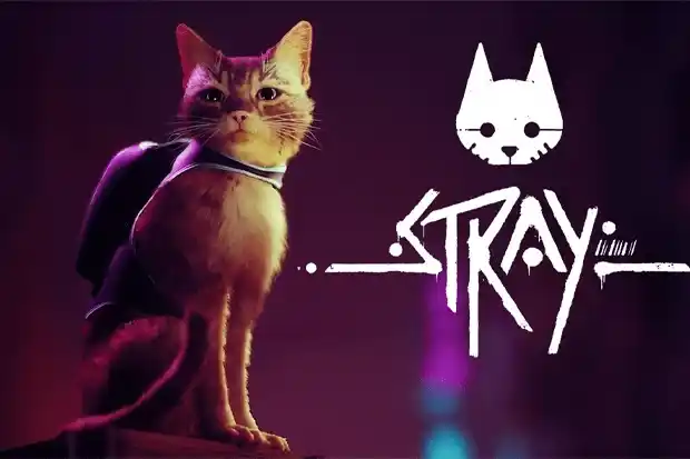 The Stray