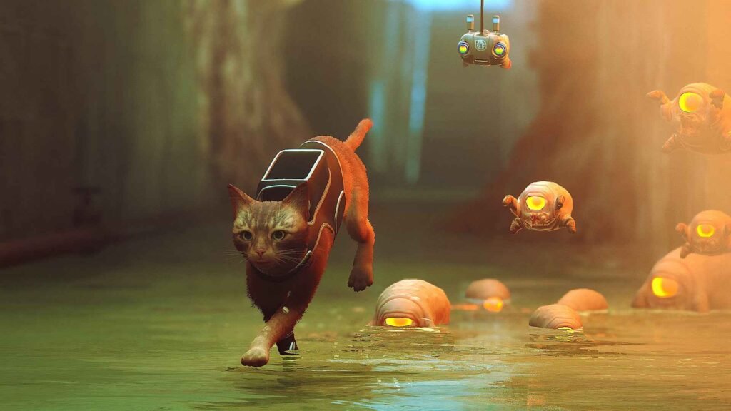 The Stray