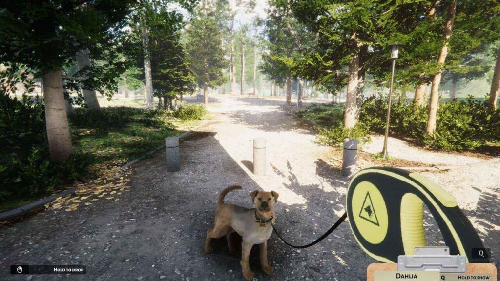 Animal Shelter 2