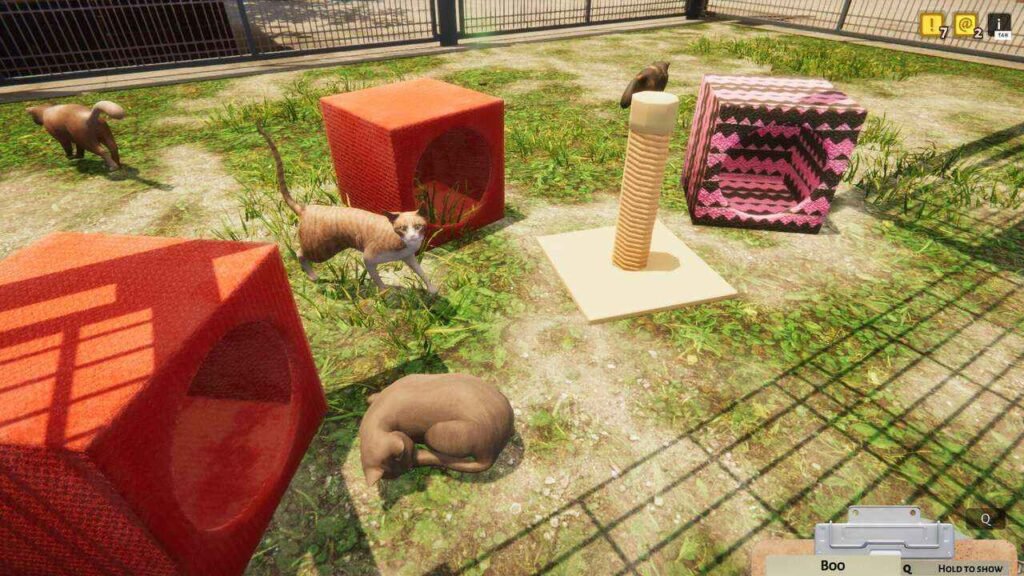 Animal Shelter 2