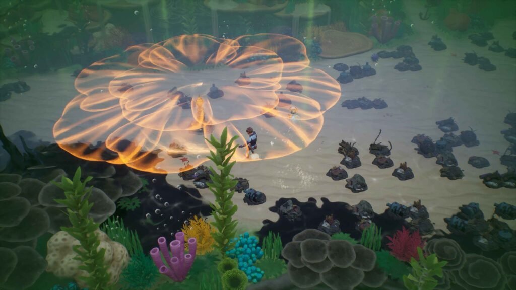 Coral Island